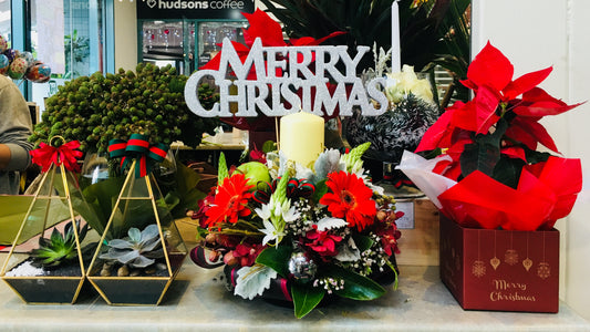 First Christmas at Niddrie