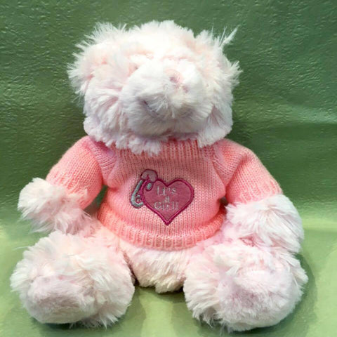 TB0004 - Pink teddy
