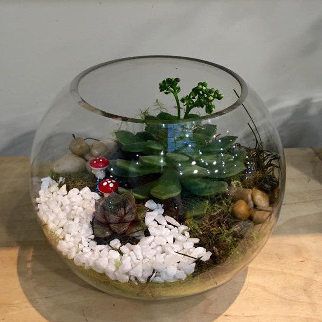 TT0002 - In a fishbowl