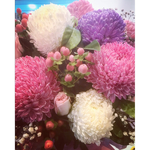 BB0065 - Full bloom