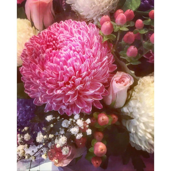 BB0065 - Full bloom