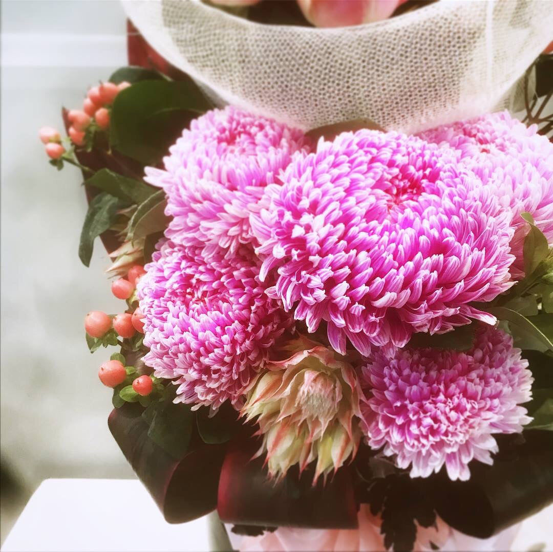 GG0024- Cosy in pink
