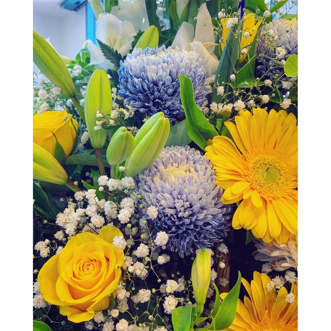 AA0013 - Blue and yellow