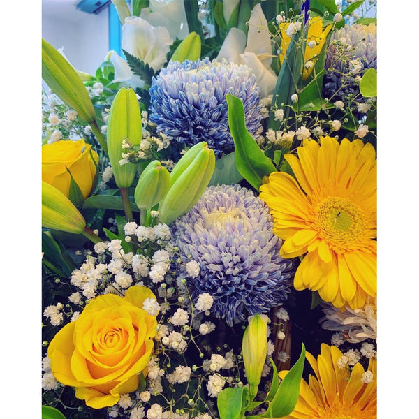 AA0013 - Blue and yellow