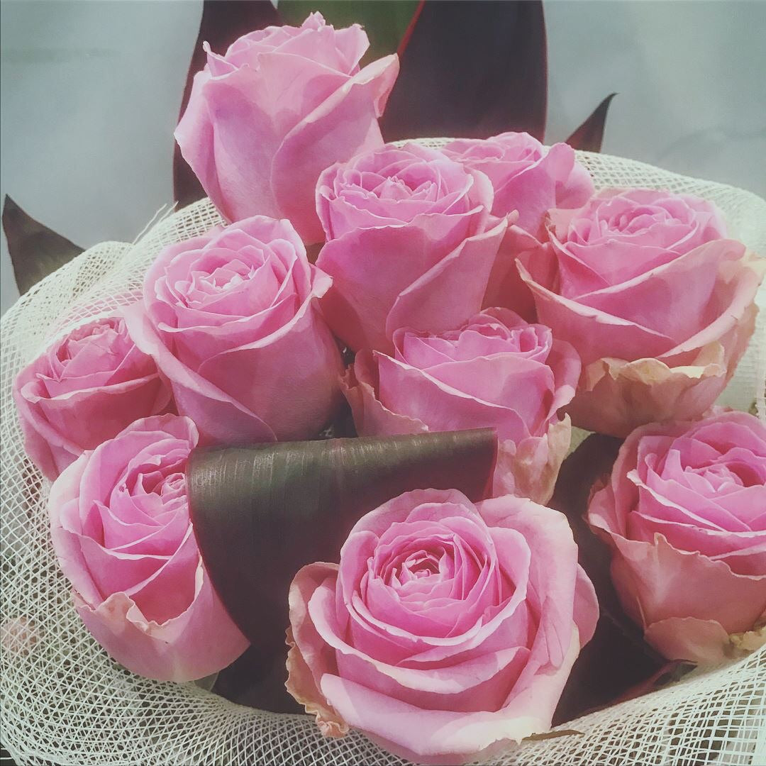 GG0024- Cosy in pink