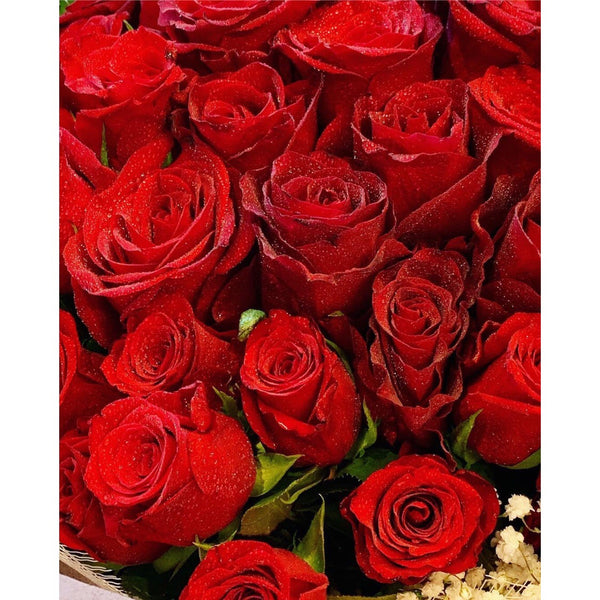 EE0003 - Red rose lovers