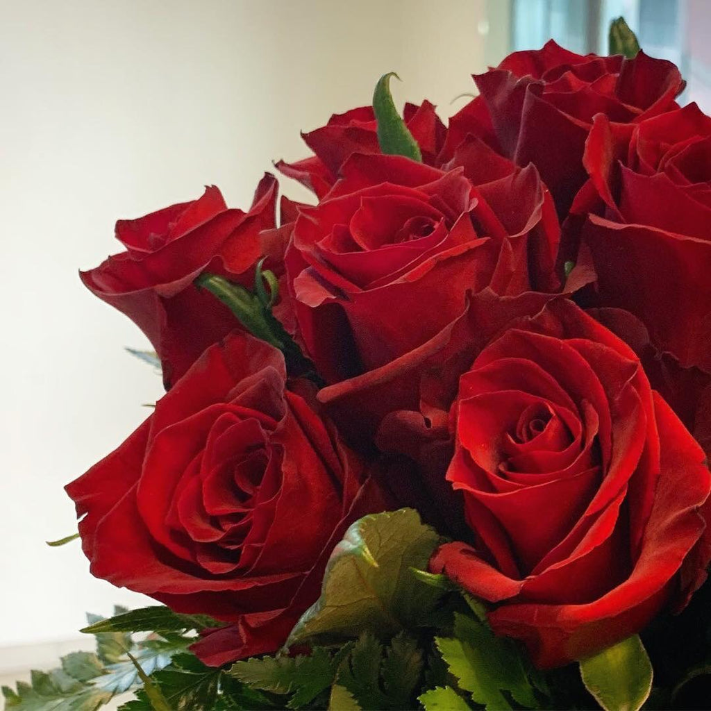 Red Roses Basic BQ0001 - Classic red roses – ALOHA FLOWERS